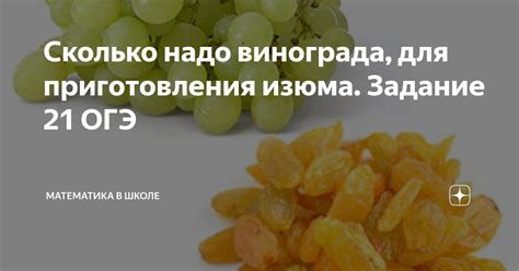 Оптимальное время сбора винограда для изюма