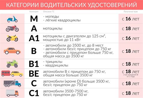 Продолжительность обучения категории "С" и "В"